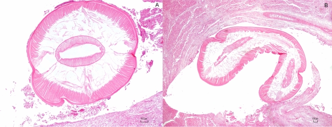 Fig.3