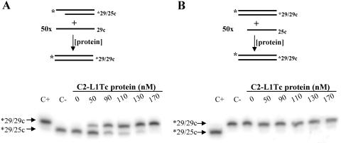 FIG. 8.