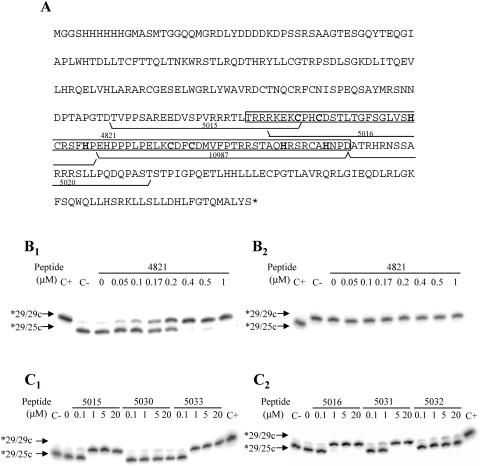 FIG. 9.