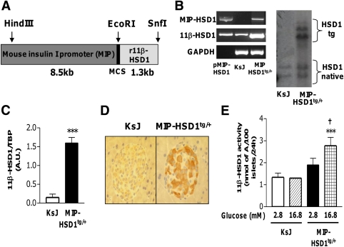 FIG. 1.