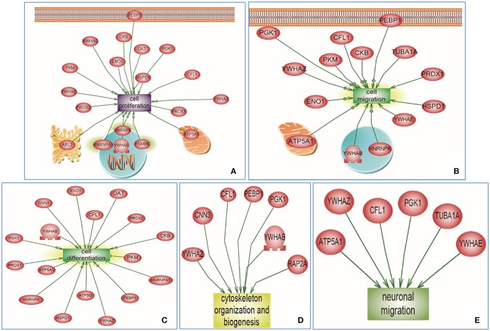 Figure 6