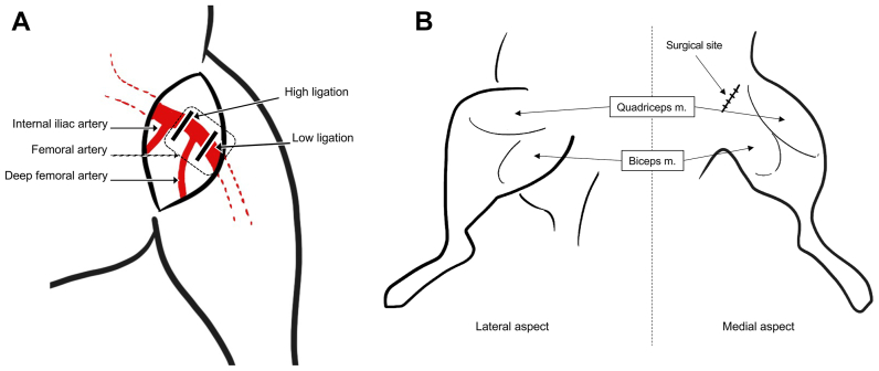 Fig 2