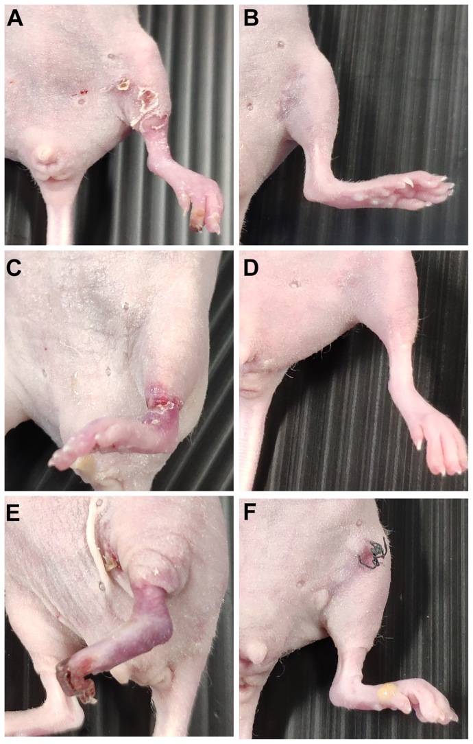 Fig 4