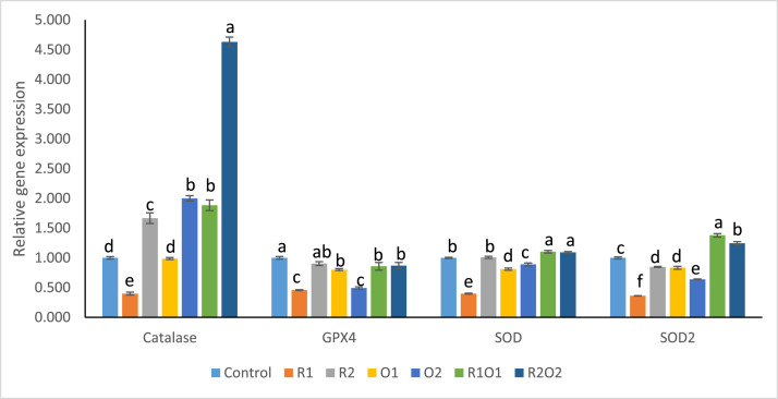 Figure 10