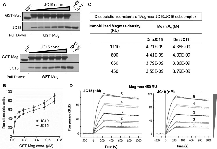 FIGURE 4.