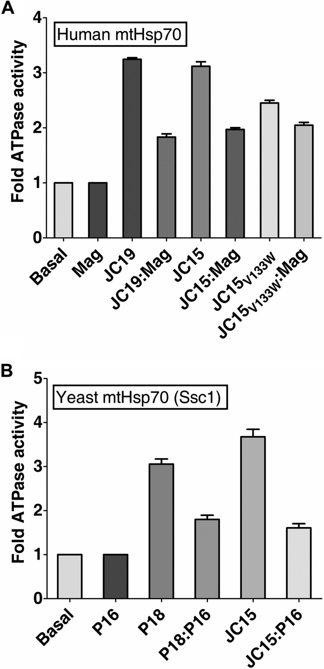 FIGURE 5.