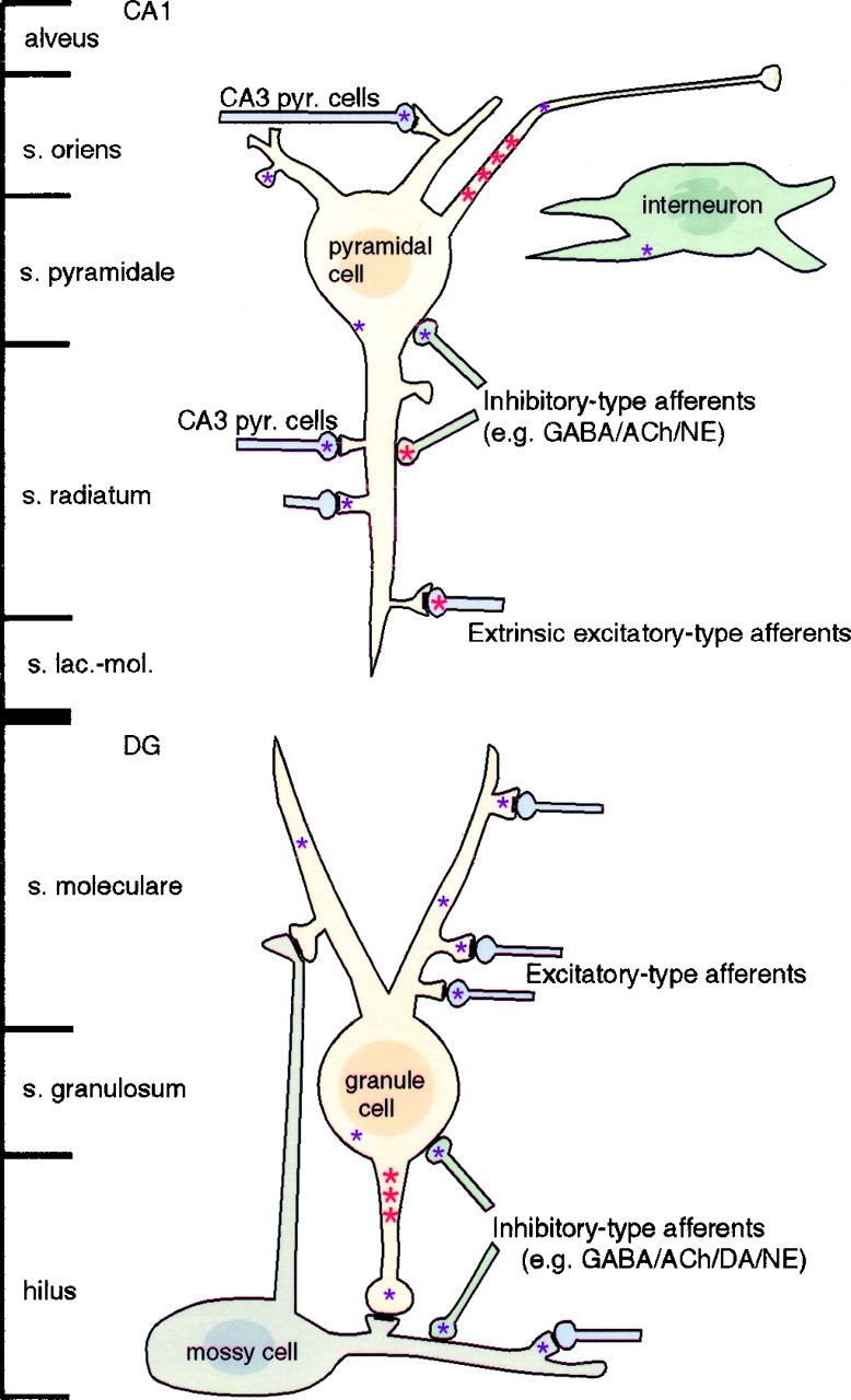 Fig. 11.