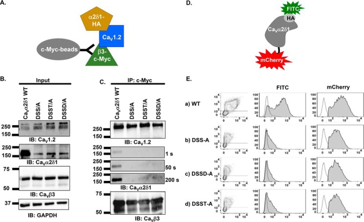 Figure 2.