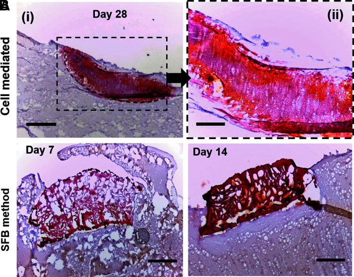 FIG. 6.