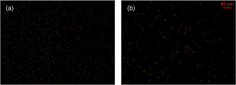 Fig. 10