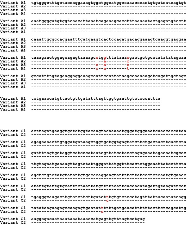 Figure 2