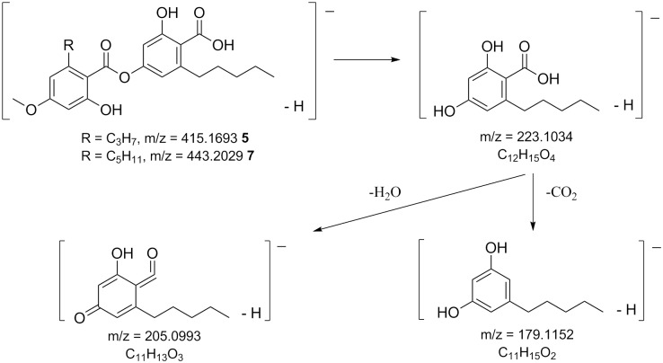 Fig 4