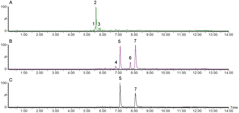 Fig 2