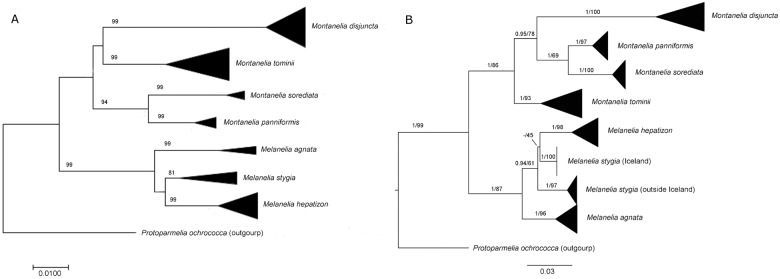 Fig 9