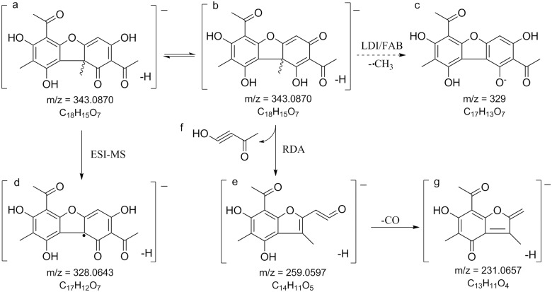 Fig 6