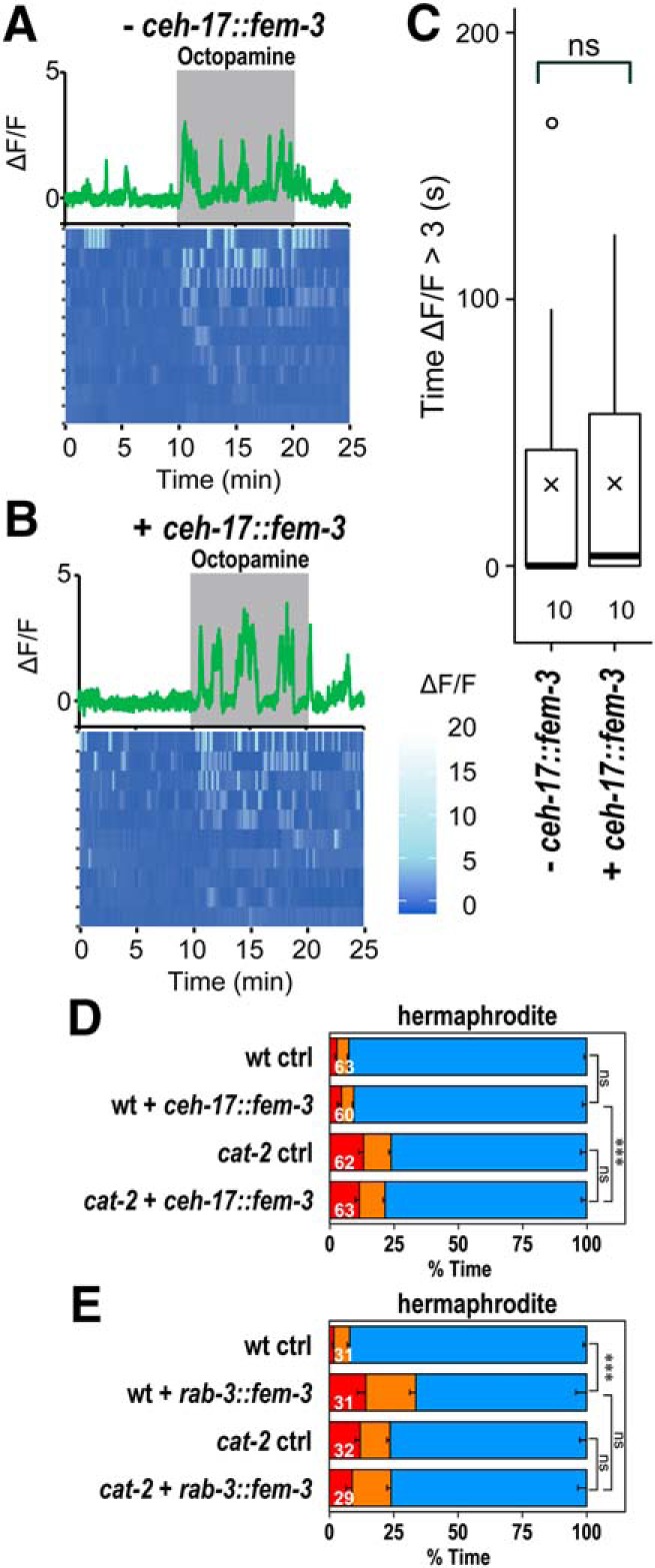 Figure 9.