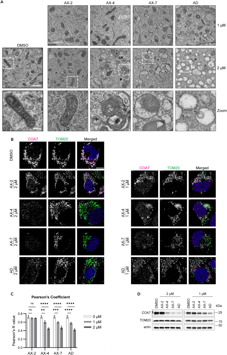 Figure 3