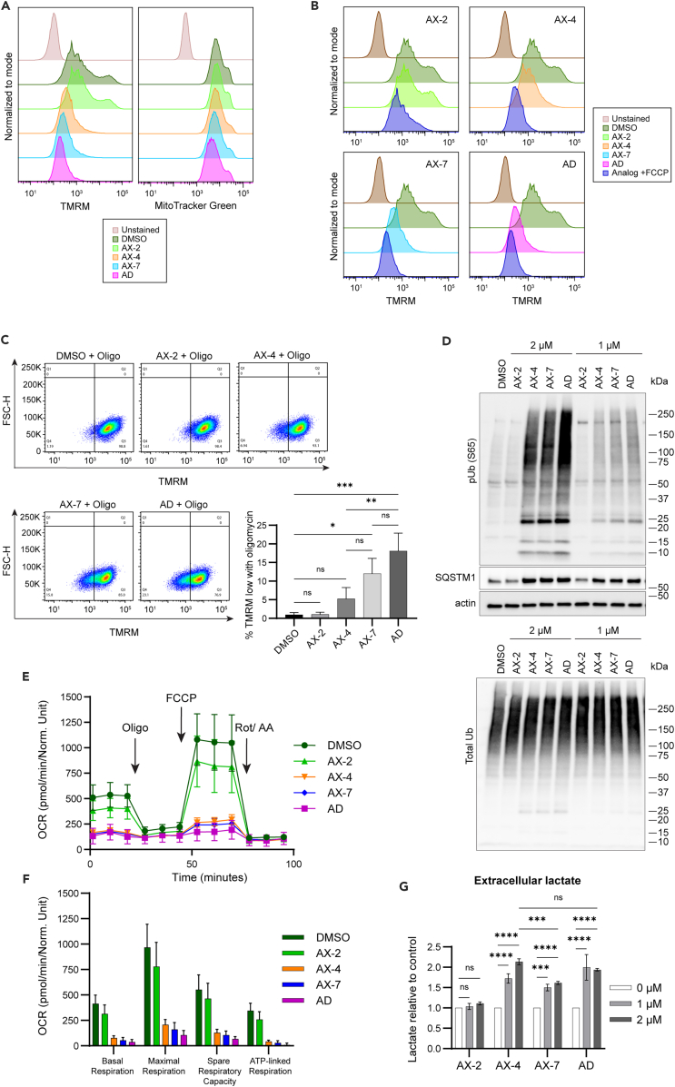 Figure 4