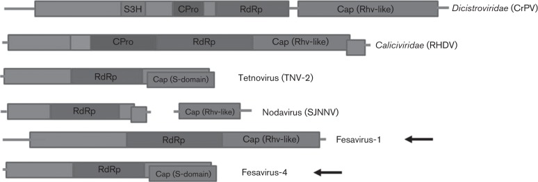 Fig. 5. 