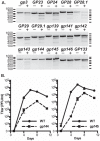 FIG 4