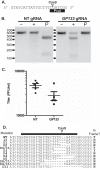 FIG 1