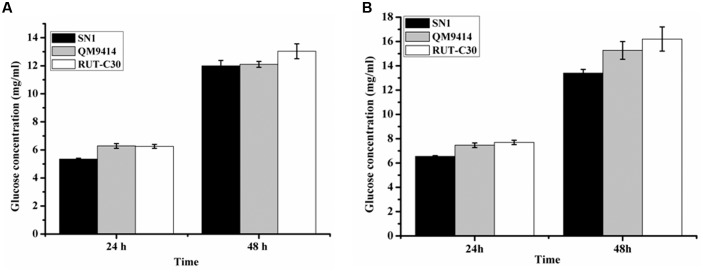 FIGURE 3