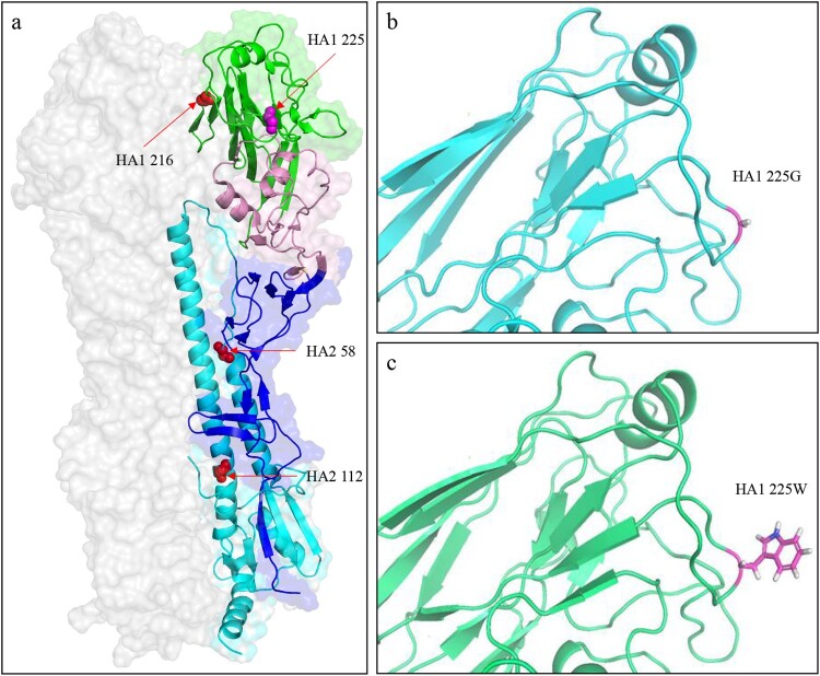 Figure 6.