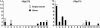 F<sc>igure</sc> 6.—