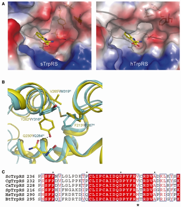 Figure 4.