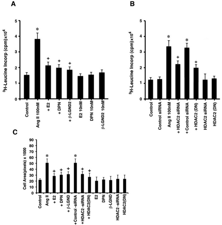 FIGURE 7: