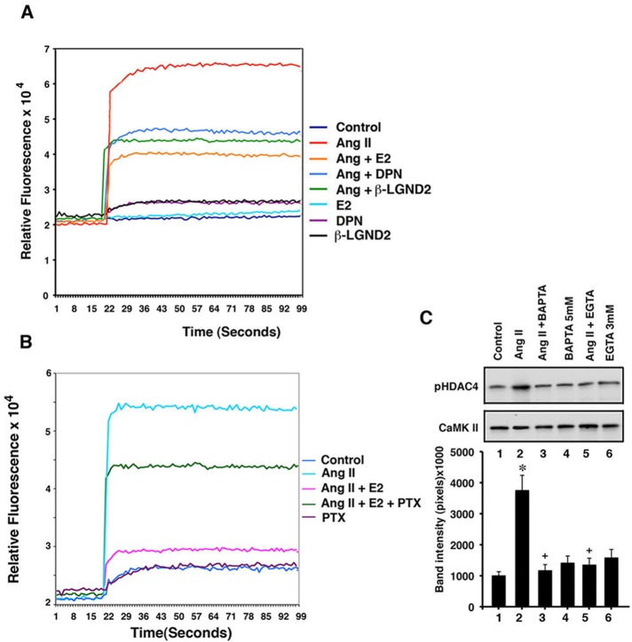 FIGURE 3: