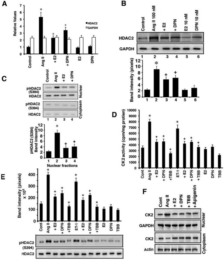 FIGURE 6: