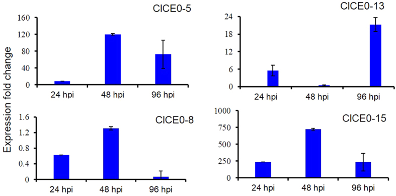 Figure 5