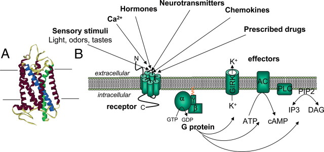 Fig. 1.