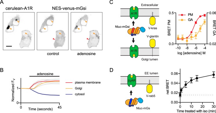 Figure 6.