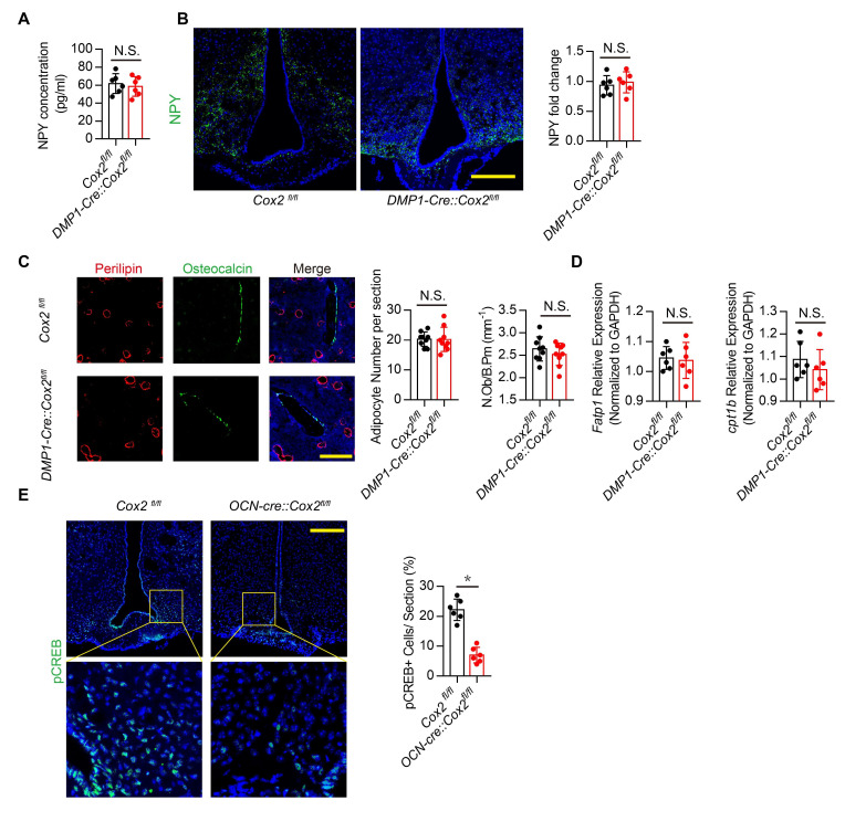 Figure 2—figure supplement 1.