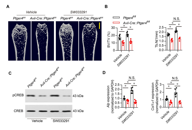 Figure 3—figure supplement 1.