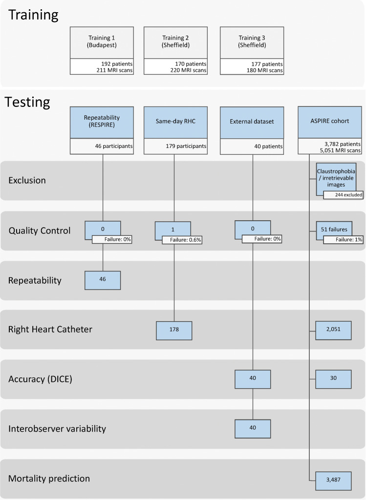 Study participant flow chart for the training and testing cohorts. ASPIRE = Assessing the Severity of Pulmonary Hypertension In a Pulmonary Hypertension Referral Centre, RESPIRE = Repeatability and Sensitivity to Change of Noninvasive End Points in Pulmonary Arterial Hypertension, RHC 5 right heart catheter.