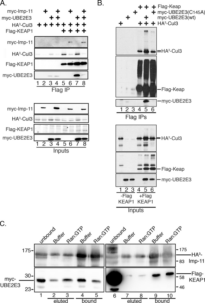 FIGURE 7: