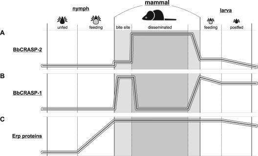 FIG. 5.