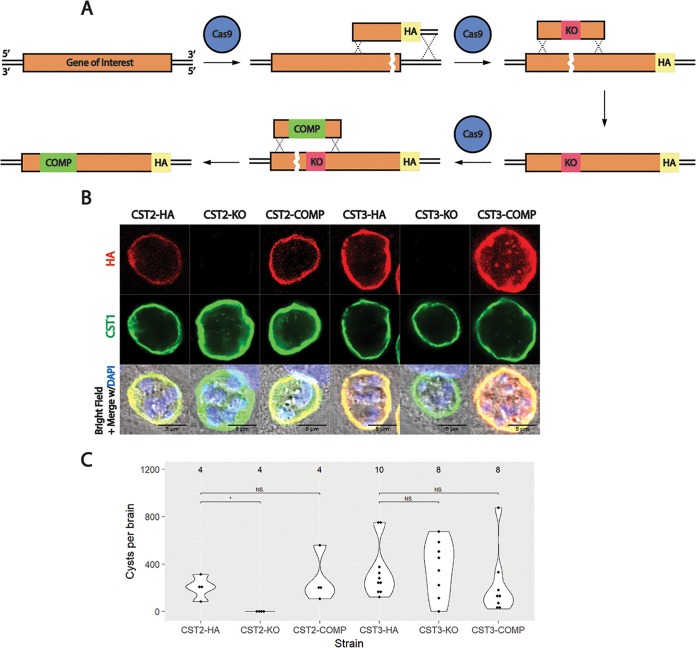 FIG 3