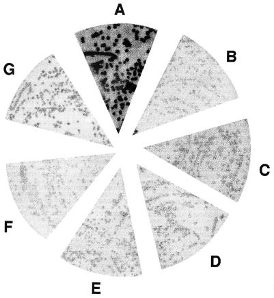 FIG. 5
