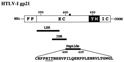 FIG. 5