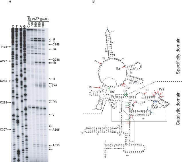 FIGURE 1.