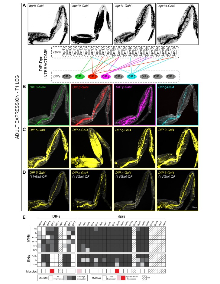 Figure 2.