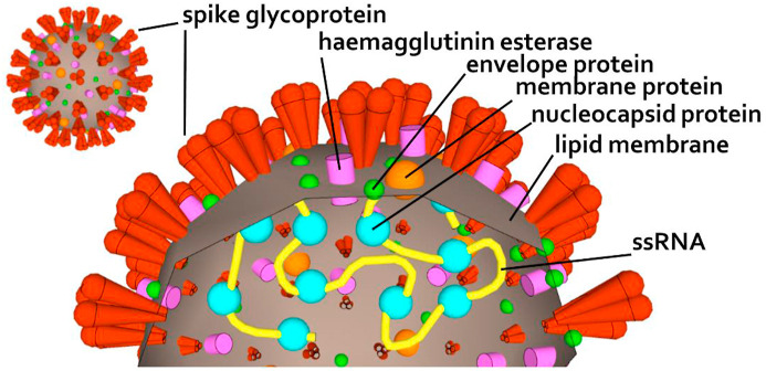 Fig. 1