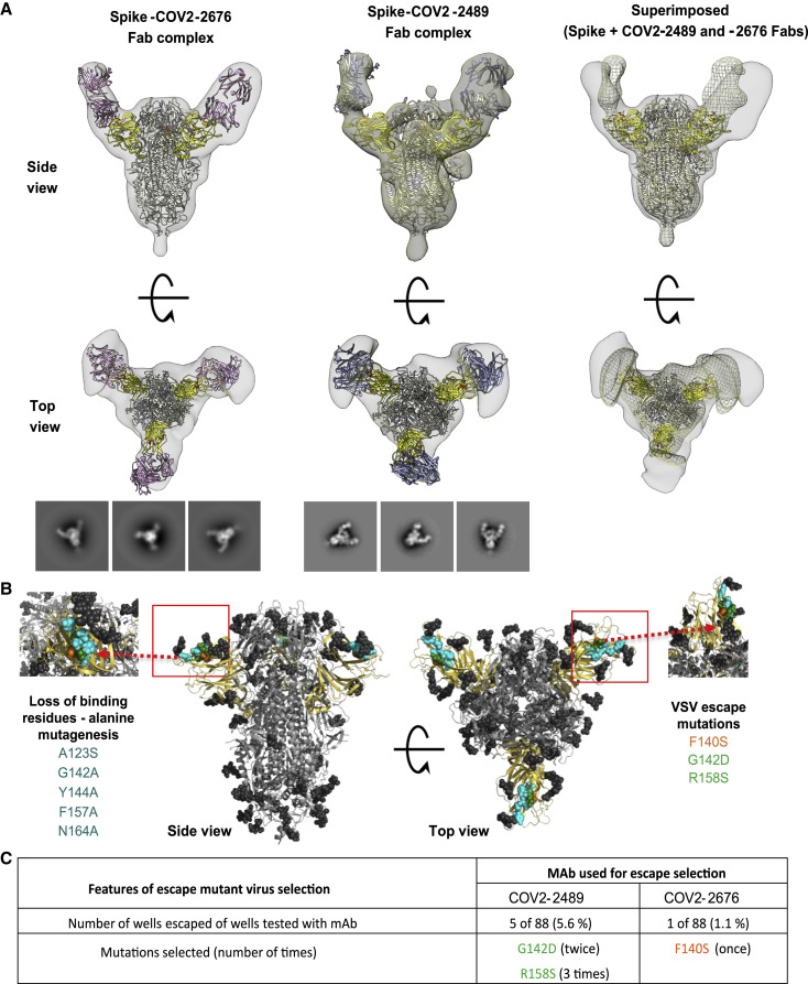 Figure 2