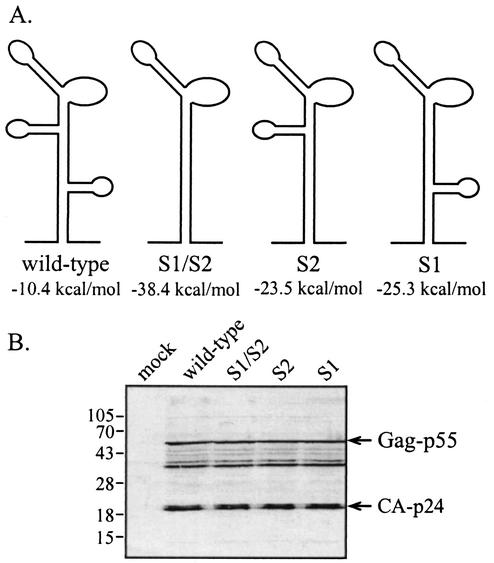 FIG. 6.