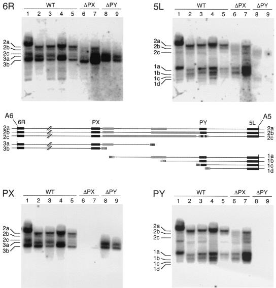 FIG. 7.