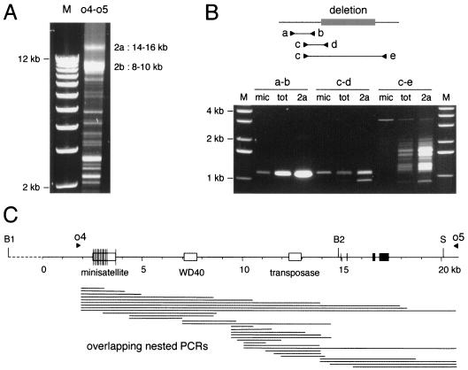 FIG. 4.